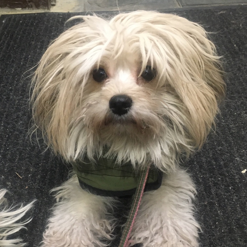 Meet your Posher, Cheri